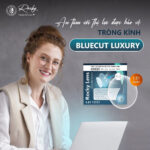 Rocky Luxury Blue Cut 1.61 ASP