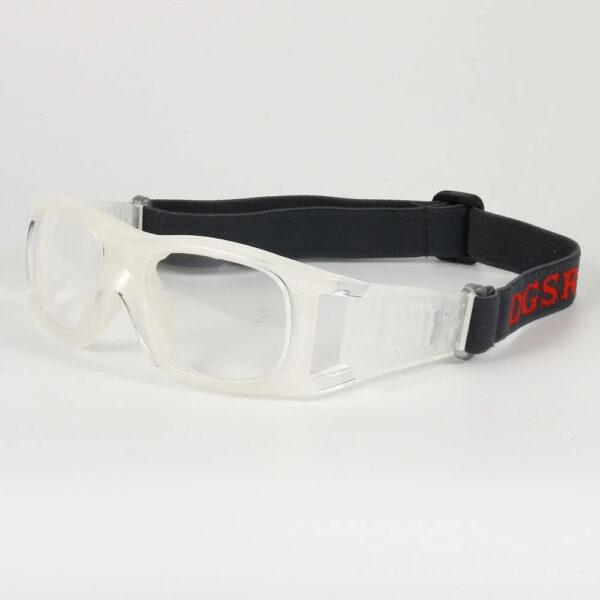 DGSR 034