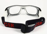 DGSR 034