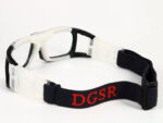 DGSR 071