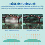 Essilor Essentials Active Transitions