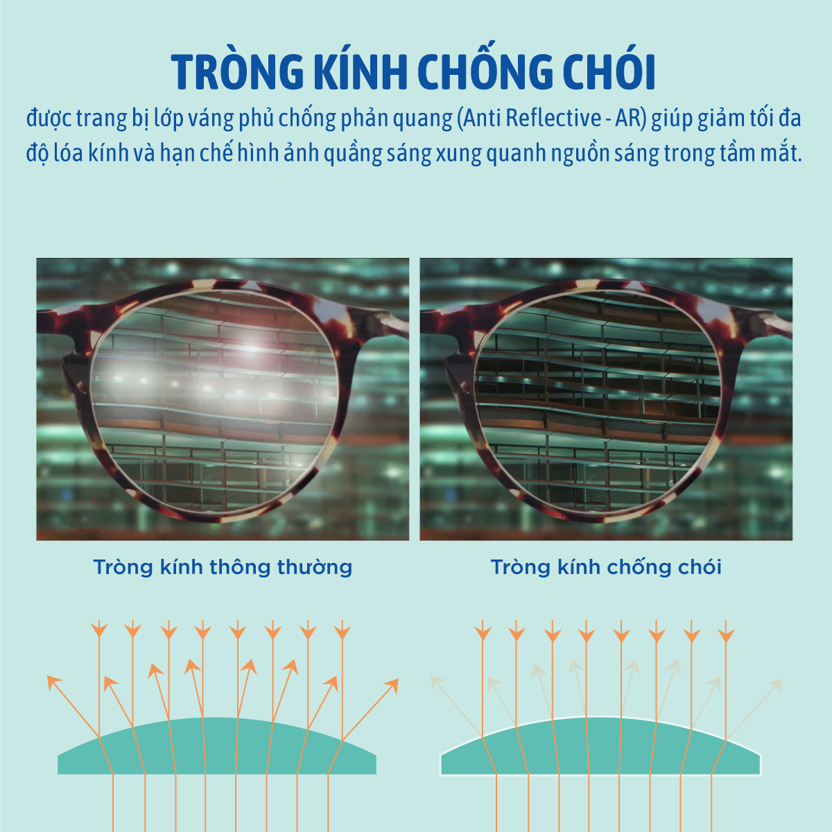 Essilor Essentials Active Transitions