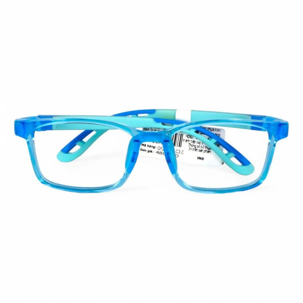 GiorGio Ferri GF24605