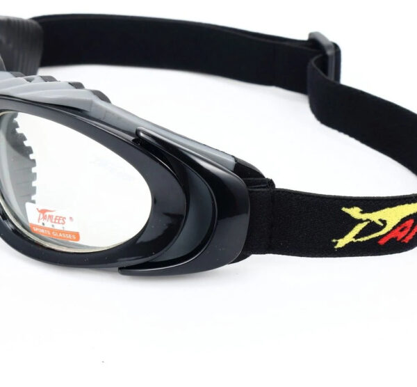 Panlees JH817