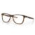 816303 Satin brown tortoise