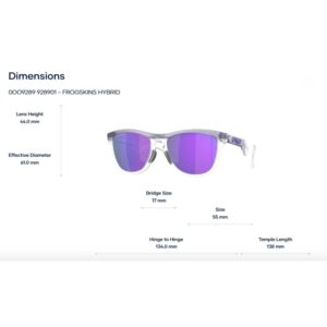 Kính mát thể thao Oakley Frogskins Hybrid OO9289 – Tem Chính Hãng Luxottica