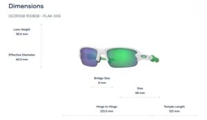 Trang chủ 231 Kính Mát Oakley Flak XXS OJ9008