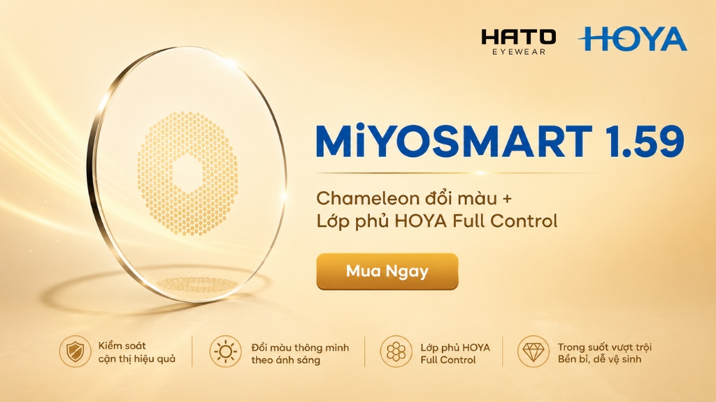 banner hoya